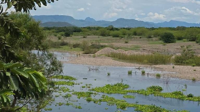 Reportan un incremento en el cauce del Río Baluarte.