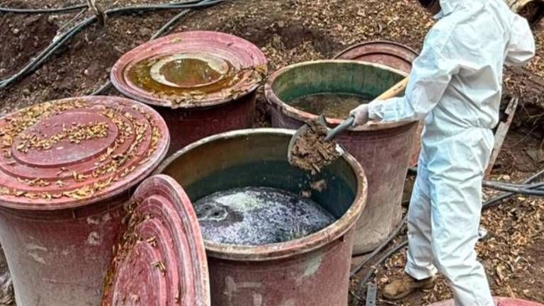 Ejército localiza laboratorios de metanfetamina en Culiacán y asegura químicos para droga sintética.