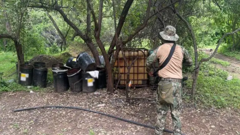 Aseguran armas, cartuchos y laboratorios clandestinos en Concordia y Badiraguato