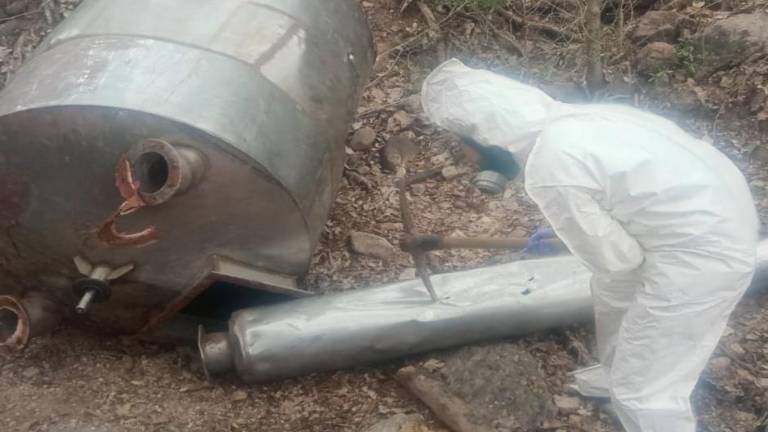 El aseguramiento de las áreas de concentración se realizó en comunidades rurales del municipio de Cosalá.