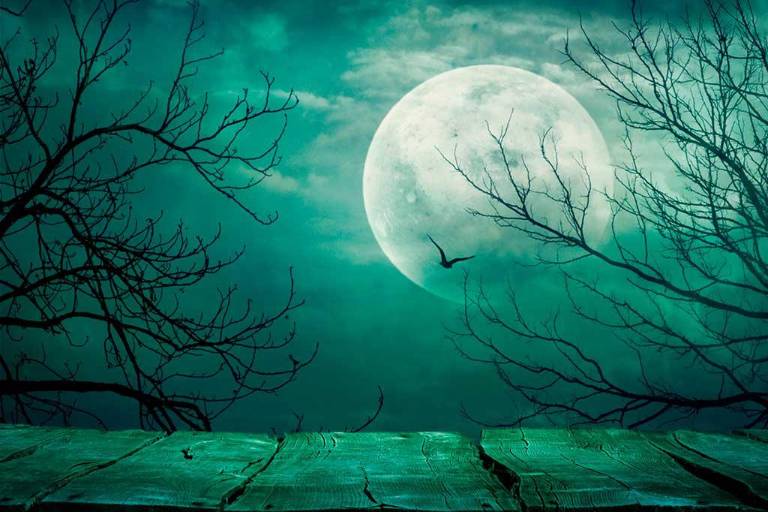 Convocan al Premio de las Artes Visuales y Cuento de Horror de Sinaloa 2022