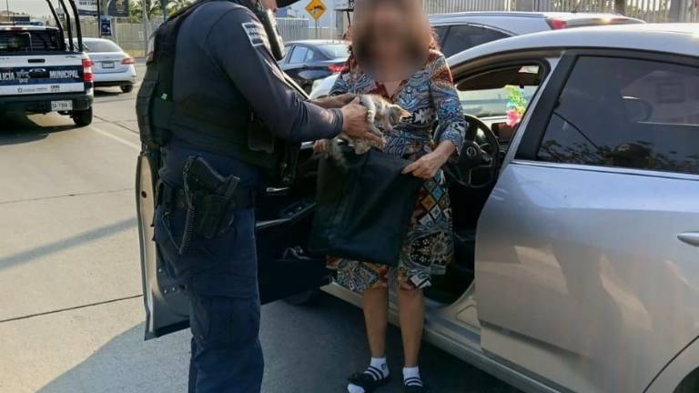 Agentes preventivos auxiliaron a una automovilista para extraer a un felino atrapado en la unidad.