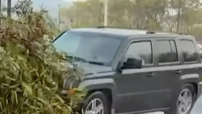 Una camioneta perdió el control y embistió a una periodista y un camarógrafo en Monterrey.