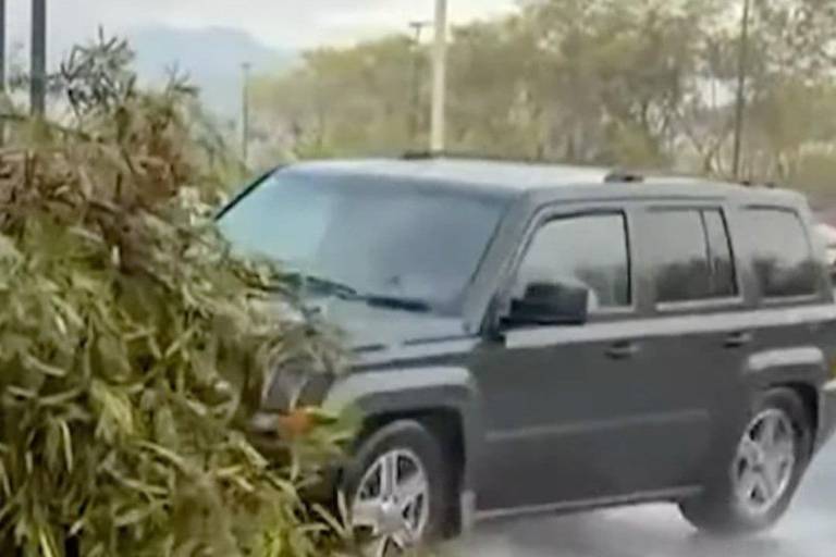 Una camioneta perdió el control y embistió a una periodista y un camarógrafo en Monterrey.