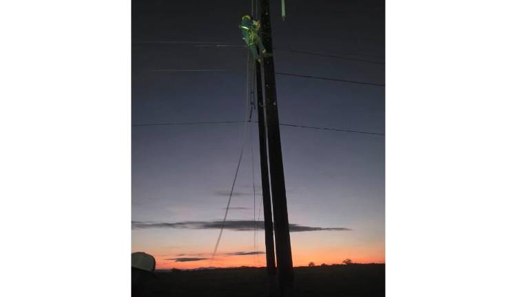 La dependencia aseguró que el suministro eléctrico quedó restablecido al 100 por ciento.