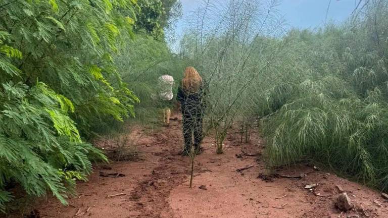 El cuerpo fue localizado en estado de descomposición entre la maleza, en un camino de terracería cercano a la Residencial Las Misiones.