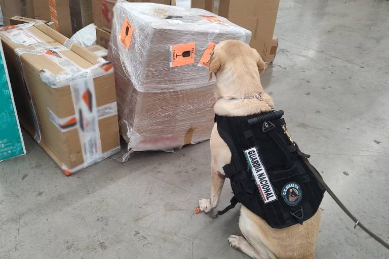 Guardia Nacional detecta jarrón de cerámica con paquetes de mariguana en Culiacán