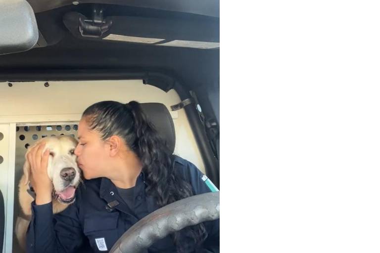 Se jubila ‘Bubu’ tras 9 años de servicio en la unidad K9 y recibe emotivo mensaje