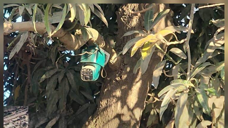 Los artefactos fueron asegurados y puestos a disposición de las autoridades.