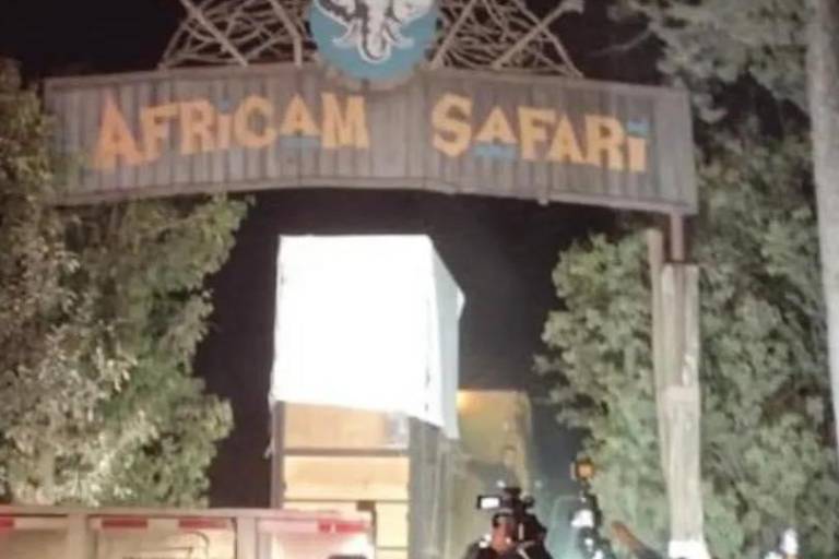 Tras vivir en condiciones inadecuadas, la jirafa Benito ya llegó a Puebla, su nuevo hogar