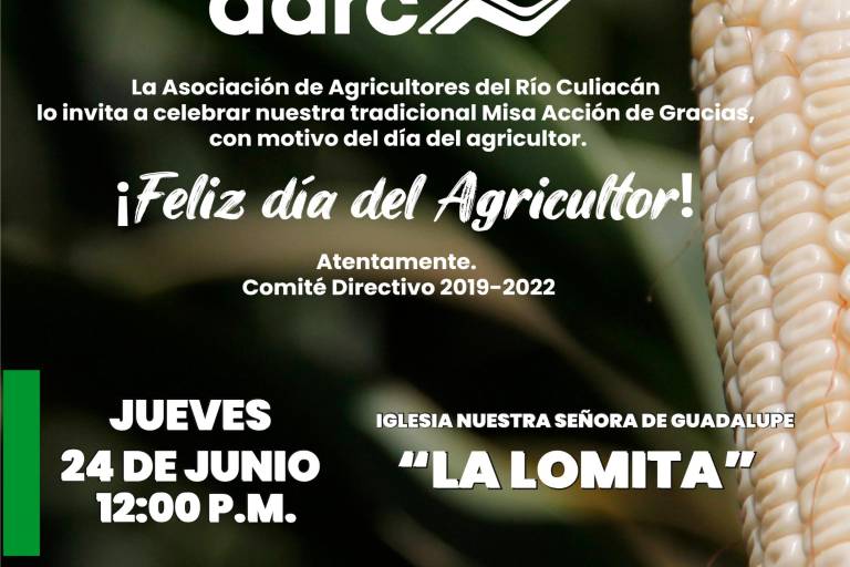 Culmina con éxito ensayo de maíz azul