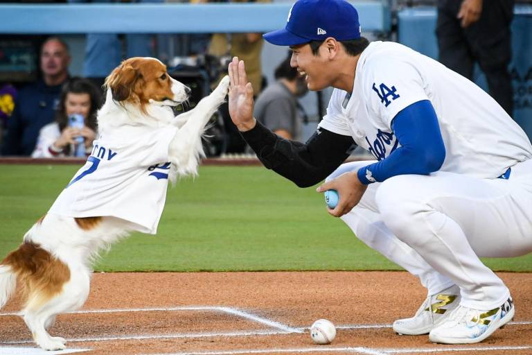 Perro de Ohtani lanza la primera bola en juego de Dodgers (VIDEO)