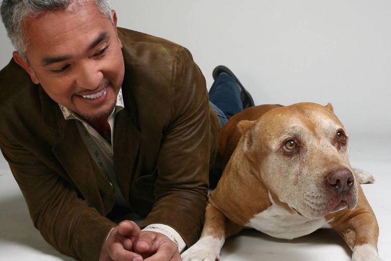 ‘A mucho orgullo soy de Sinaloa y amo mi tierra’, afirma César Millán el Encantador de Perros