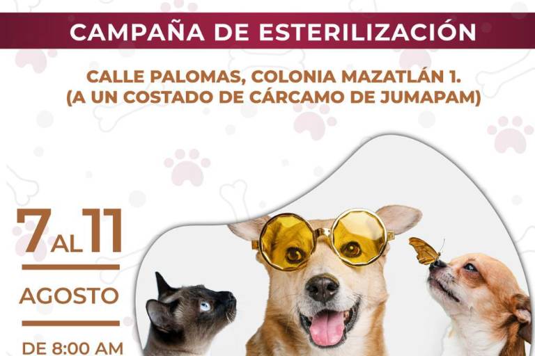 Llevarán esterilización gratuita de mascotas a la colonia Mazatlán I