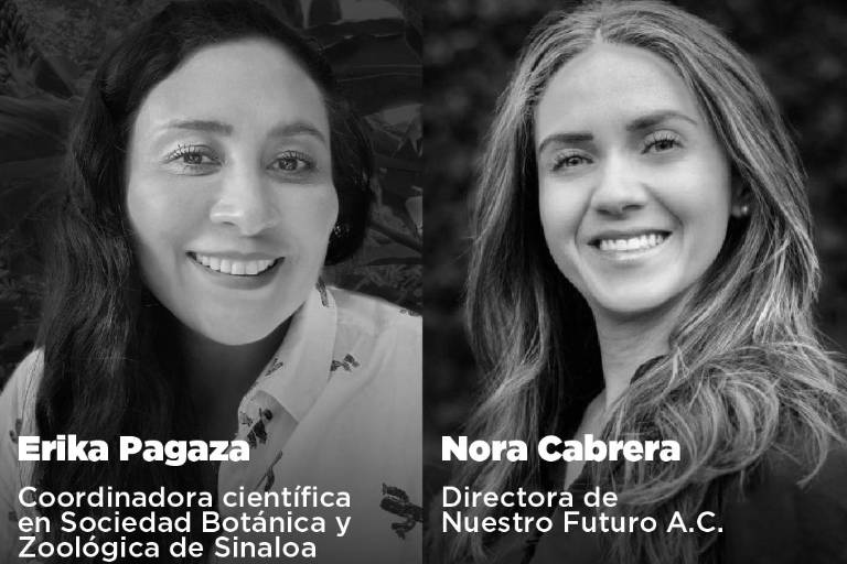 Invita La Casa del Maquío a charla en línea sobre clima