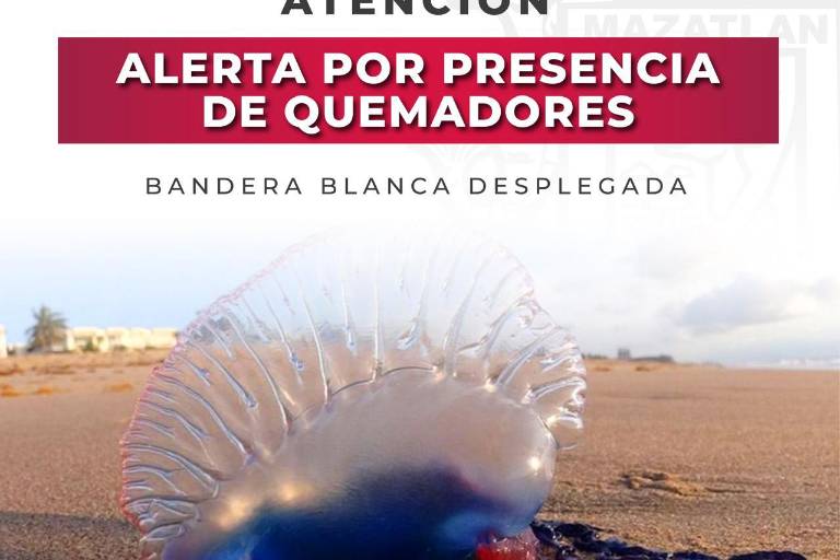 Alertan por presencia de quemadores en la Isla de la Piedra