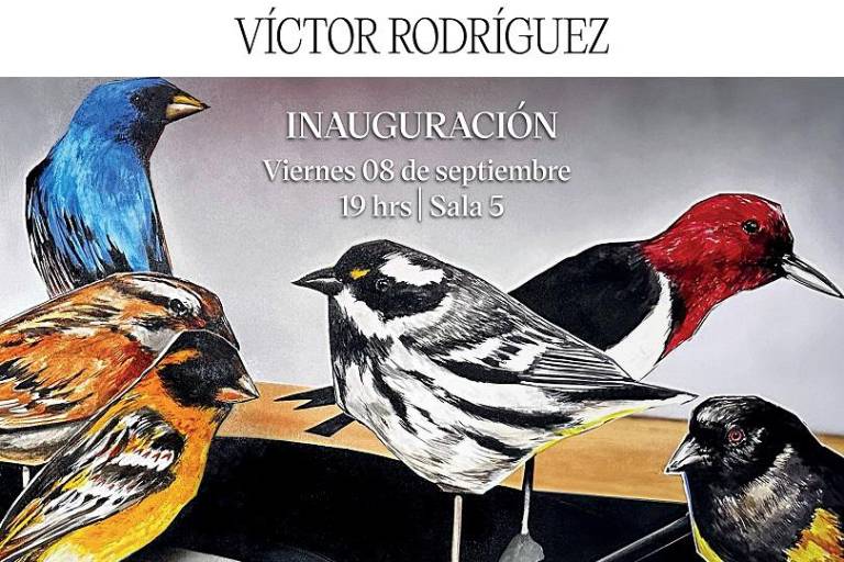 Expondrá Víctor Rodríguez ‘Ilusión virtual’, en el Masin