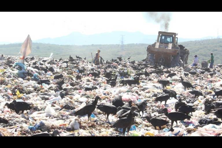 Tratamiento que se le da a la basura en Culiacán es obsoleto: Gobierno municipal