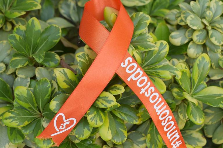 El Instituto Senda promueve los valores en el Unity Day