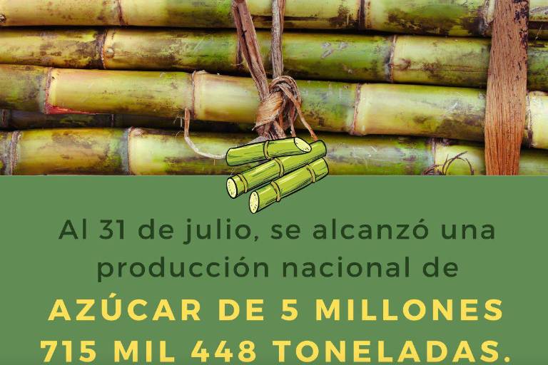 Concluye, con crecimiento, producción de caña y azúcar en México