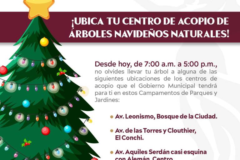 ¡No los tires! habilitan tres lugares de acopio para recibir los pinos naturales navideños, en Mazatlán