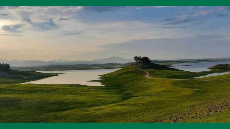 La campaña en redes sociales lleva por hashtag #NarniaNoSeToca, y con ella se busca concientizar por los daños ambientales que puedan presentarse durante el Festival del Globo.