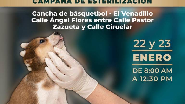 Si quieres esterilizar a tu mascota, aprovecha esta semana la campaña del Gobierno de Mazatlán.