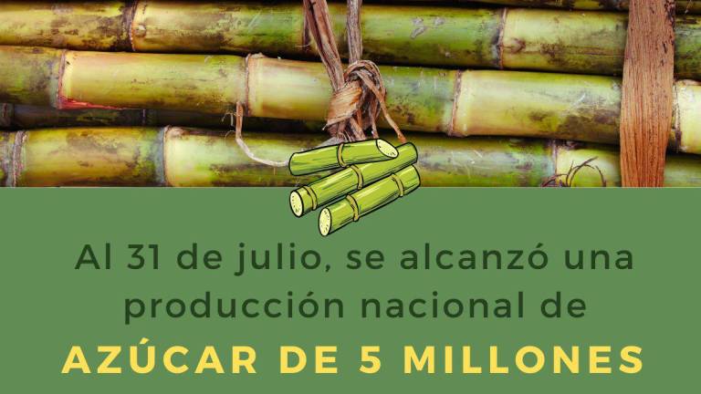 Ciclo azucarero con fecha de corte al 31 de julio se alcanzó una producción nacional de cinco millones 715 mil 448 toneladas de azúcar