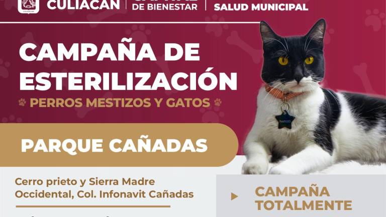 La jornada se llevará a cabo los días miércoles 15, jueves 16 y viernes 17 de julio en las instalaciones del Parque Cañadas.