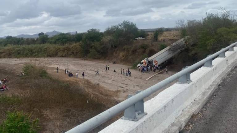 Tras quedarse dormido el conductor, el tráiler salió de la autopista y la carga fue saqueada.