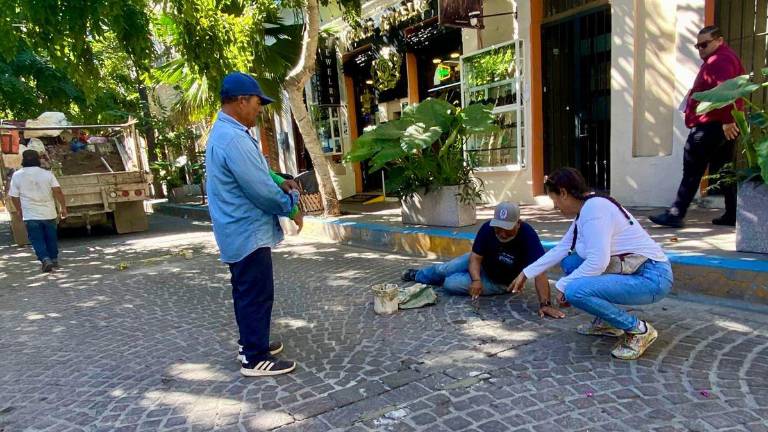 Reparación de calles en el Centro Histórico de Mazatlán.
