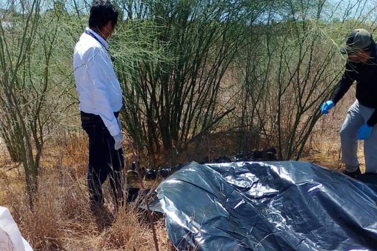 Hallan cuerpo en estado de descomposición dentro de bolsa en tierras de cultivo de Costa Rica