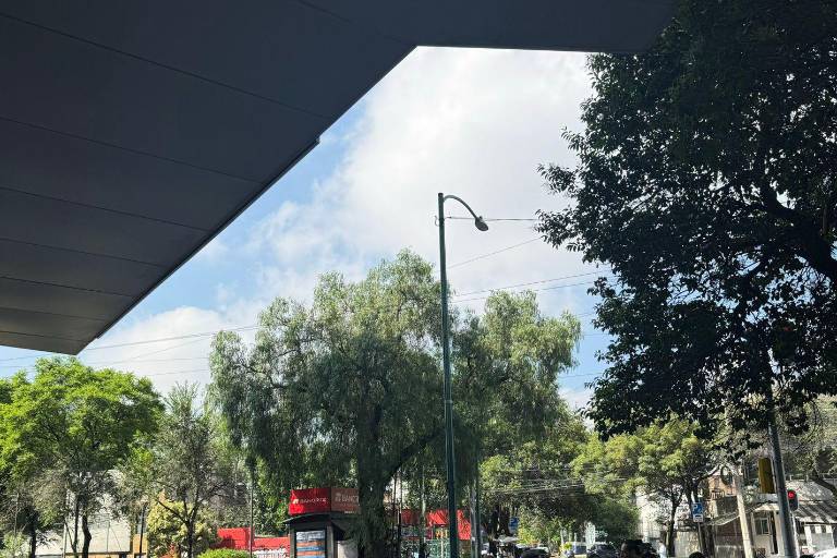 Trabajadoras de Mejoredu denuncian violencia digital de tipo sexual dentro de la institución