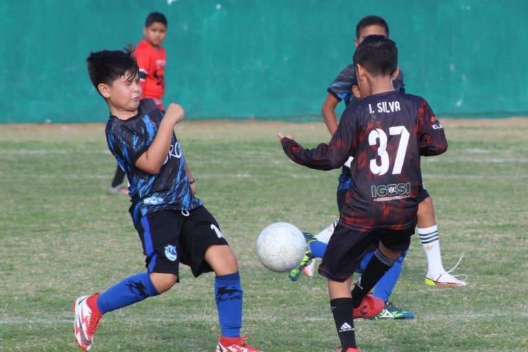 Ellos son los ‘ositos’ que representarán a Mazatlán, en el Estatal de Futbol