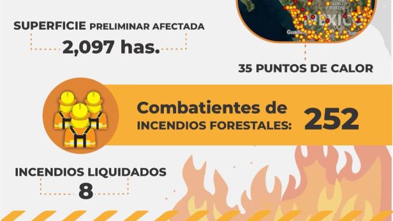 En Sinaloa se han dañado más de 2 mil hectáreas este año debido a 8 incendios forestales