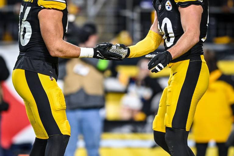 Los Steelers frenan a los Bengals