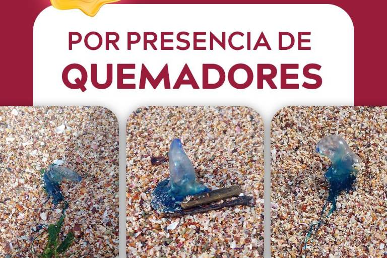 Las autoridades municipales reiteran el llamado a respetar la señalización y seguir en todo momento las indicaciones de los salvavida.