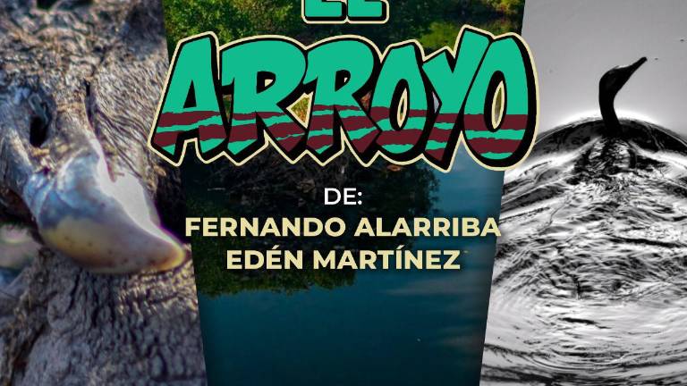 El proyecto se presentará el jueves 27, en el Museo de Arte de Mazatlán.