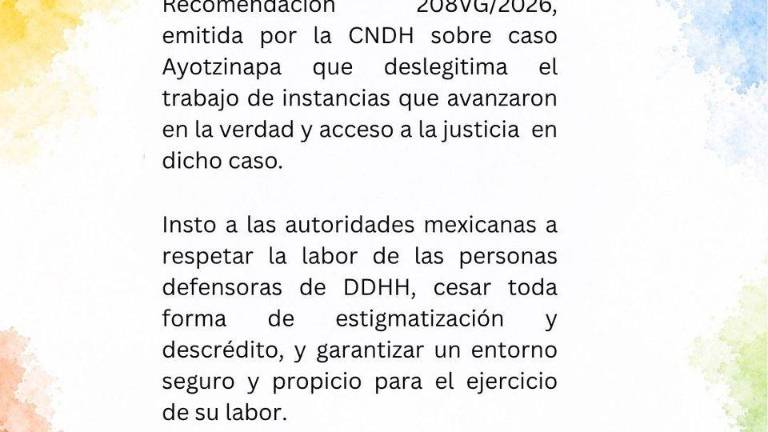 Andrea Bolaños Vargas hizo un llamado a las autoridades mexicanas a respetar la labor de los activistas, que trabajan en el proceso de búsqueda de los 43 estudiantes de Ayotzinapa.