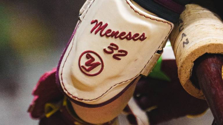 La Liga Mexicana del Pacífico está en su recta final y muchos equipos tienen mucho en juego.