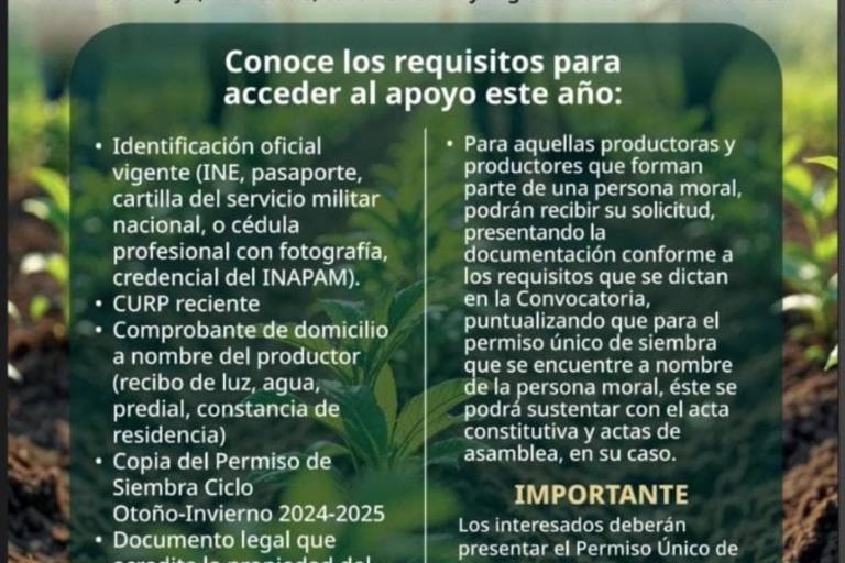 Publican convocatoria para nuevo ingreso a programa ‘Fertilizantes para el Bienestar’ en Sinaloa