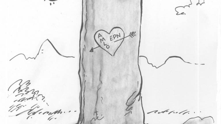 El Presidente peñafiel... fiel a Peña Nieto