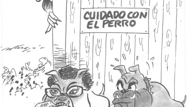 Sin comentarios