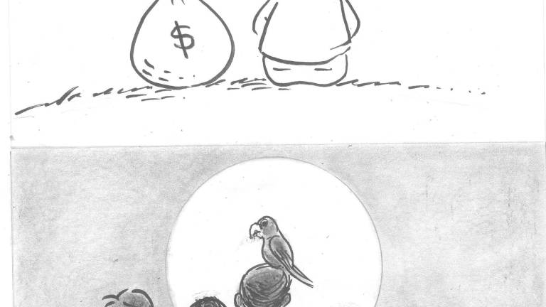 ¡Feliz Navidad para todos!