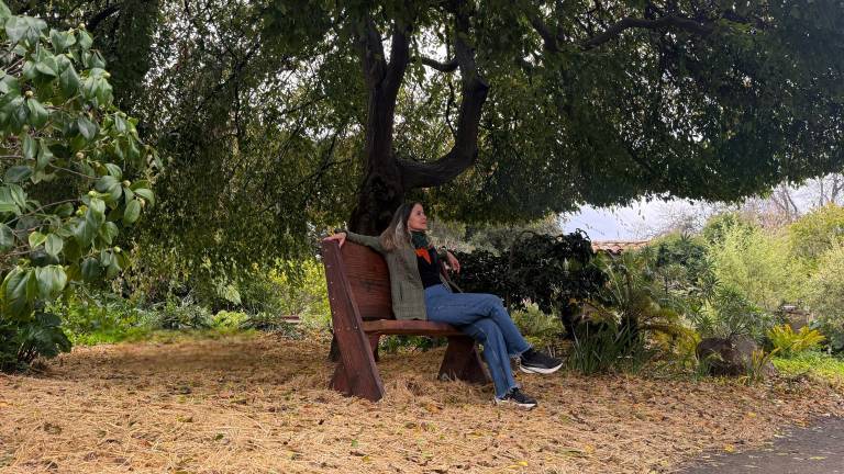 Biografías reales (I)