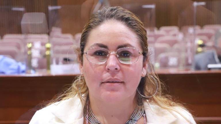 La Diputada lamentó hechos recientes.