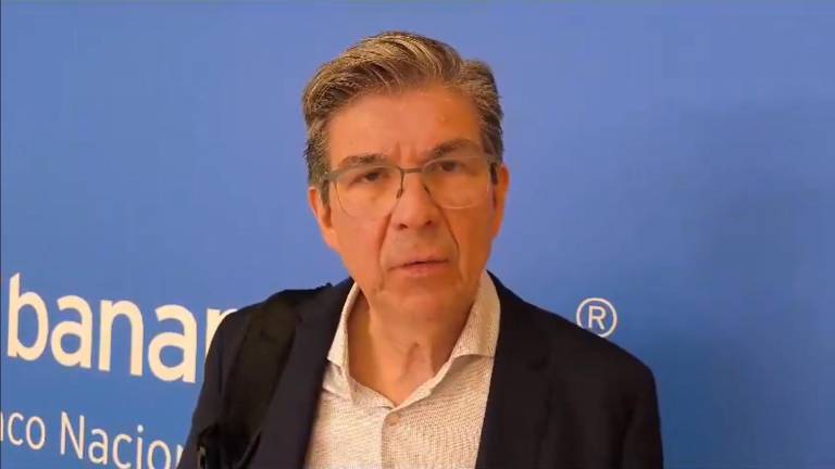 Sergio Kurczyn, director de Estudios Económicos de Banamex.