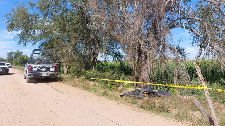 El cuerpo de un hombre fue localizado en la región de San Román la mañana de este lunes.