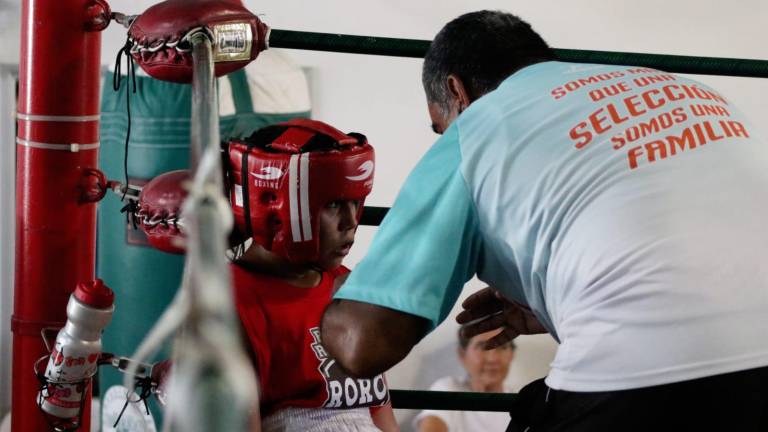 Este próximo viernes se celebrará la eliminatoria municipal de boxeo en Mazatlán.