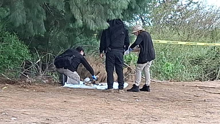 Buscadoras localizaron restos humanos de una mujer en las inmediaciones de la carretera Navolato-El Castillo.